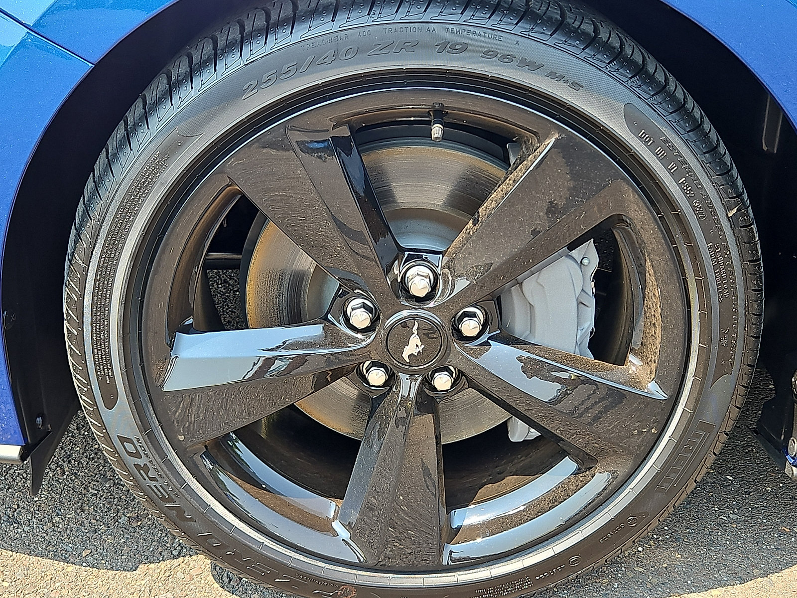 Used 2022 Ford Mustang GT Premium w/ Black Accent Package RWD image 8