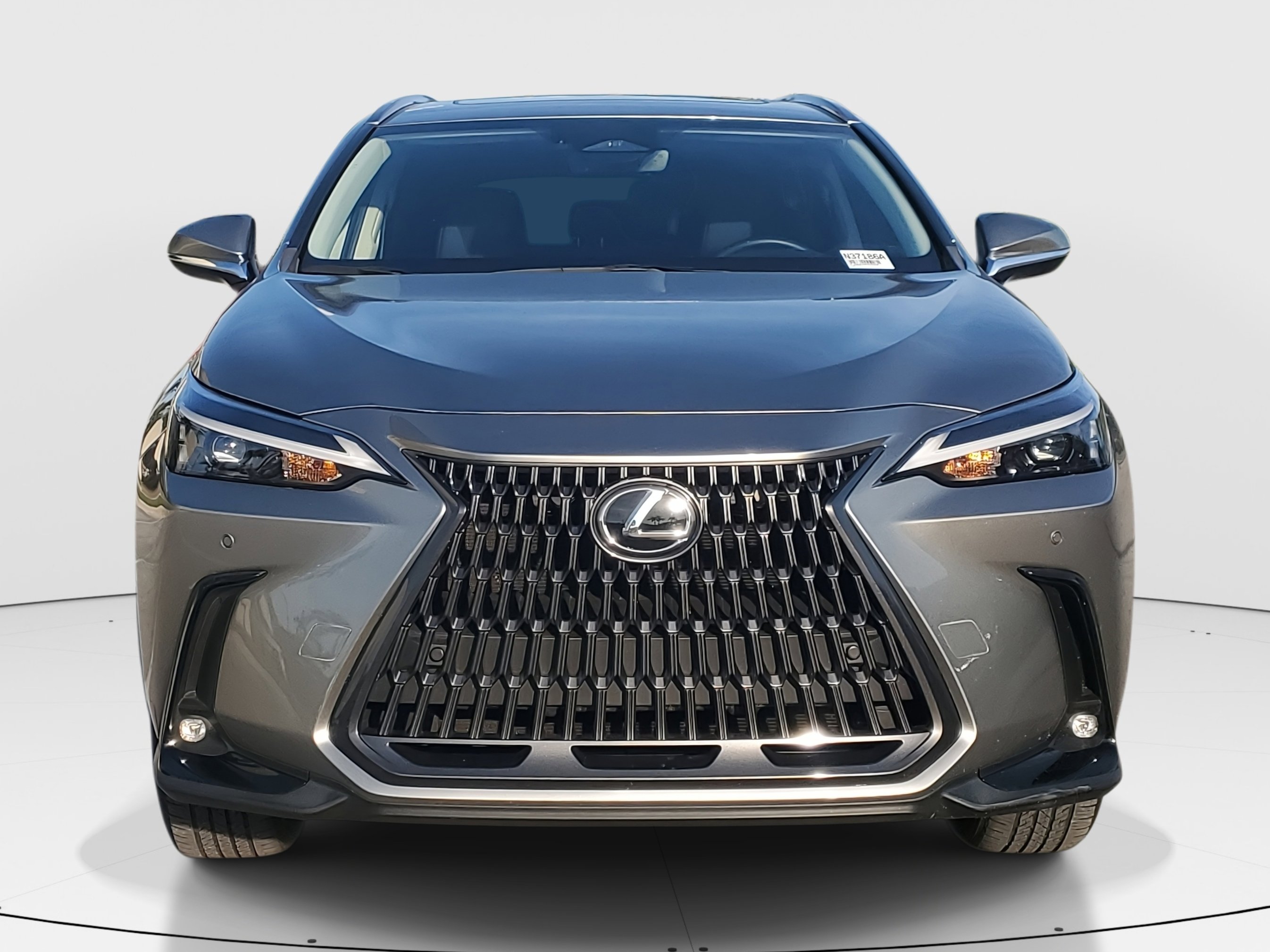 Certified 2024 Lexus NX 350 AWD w/ Premium Package image 3