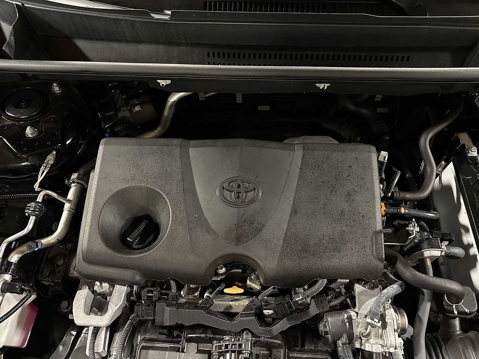 Certified 2025 Toyota RAV4 XLE AWD/4WD image 12