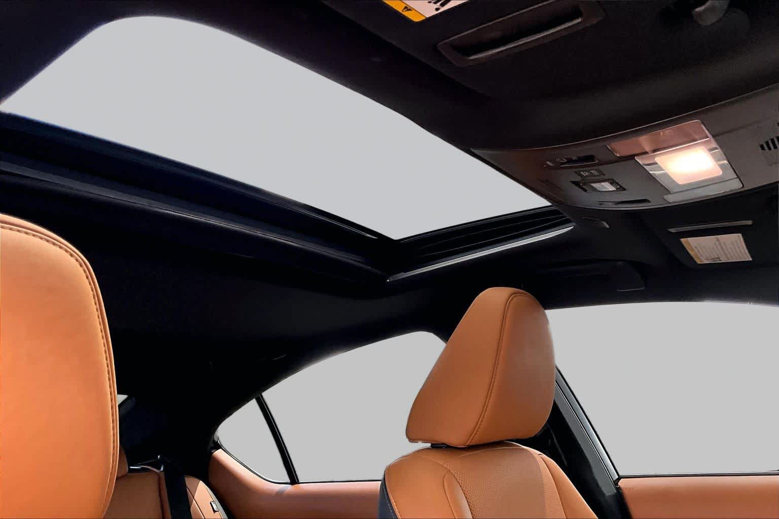 Used 2025 Lexus IS 350 F Sport w/ Accessory Package 2 RWD image 14