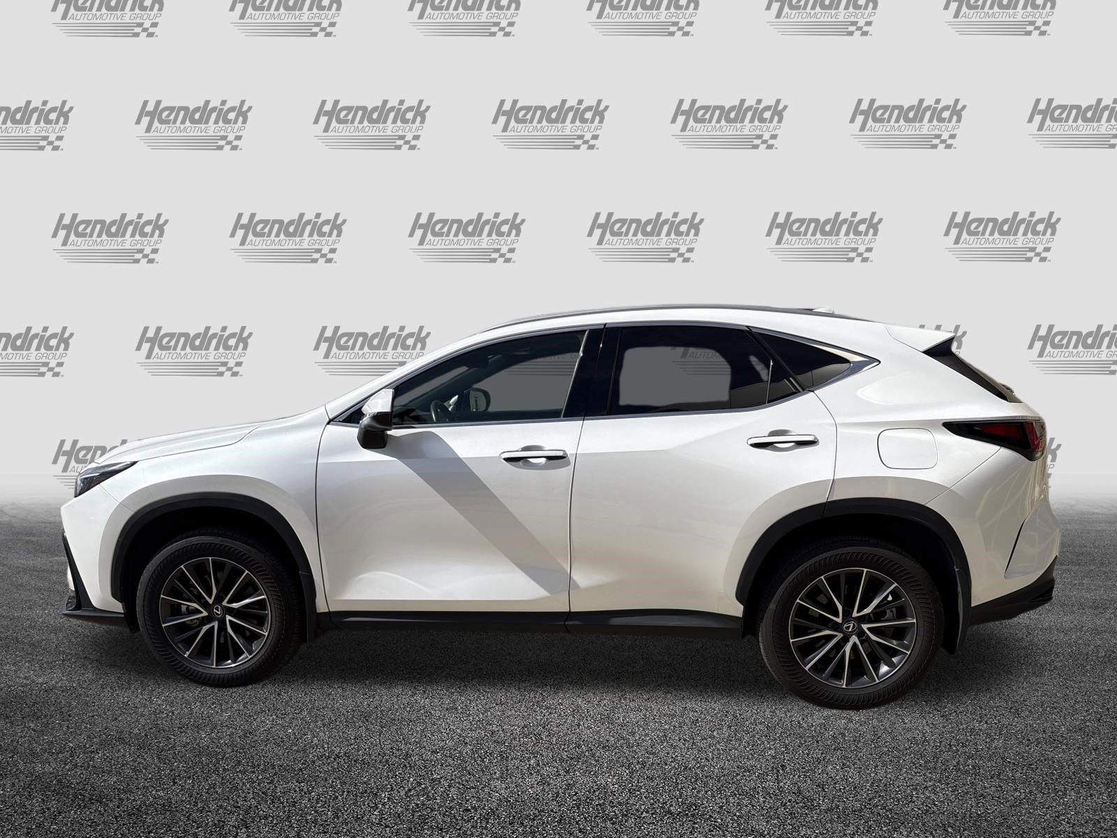 Certified 2024 Lexus NX 350h AWD image 7