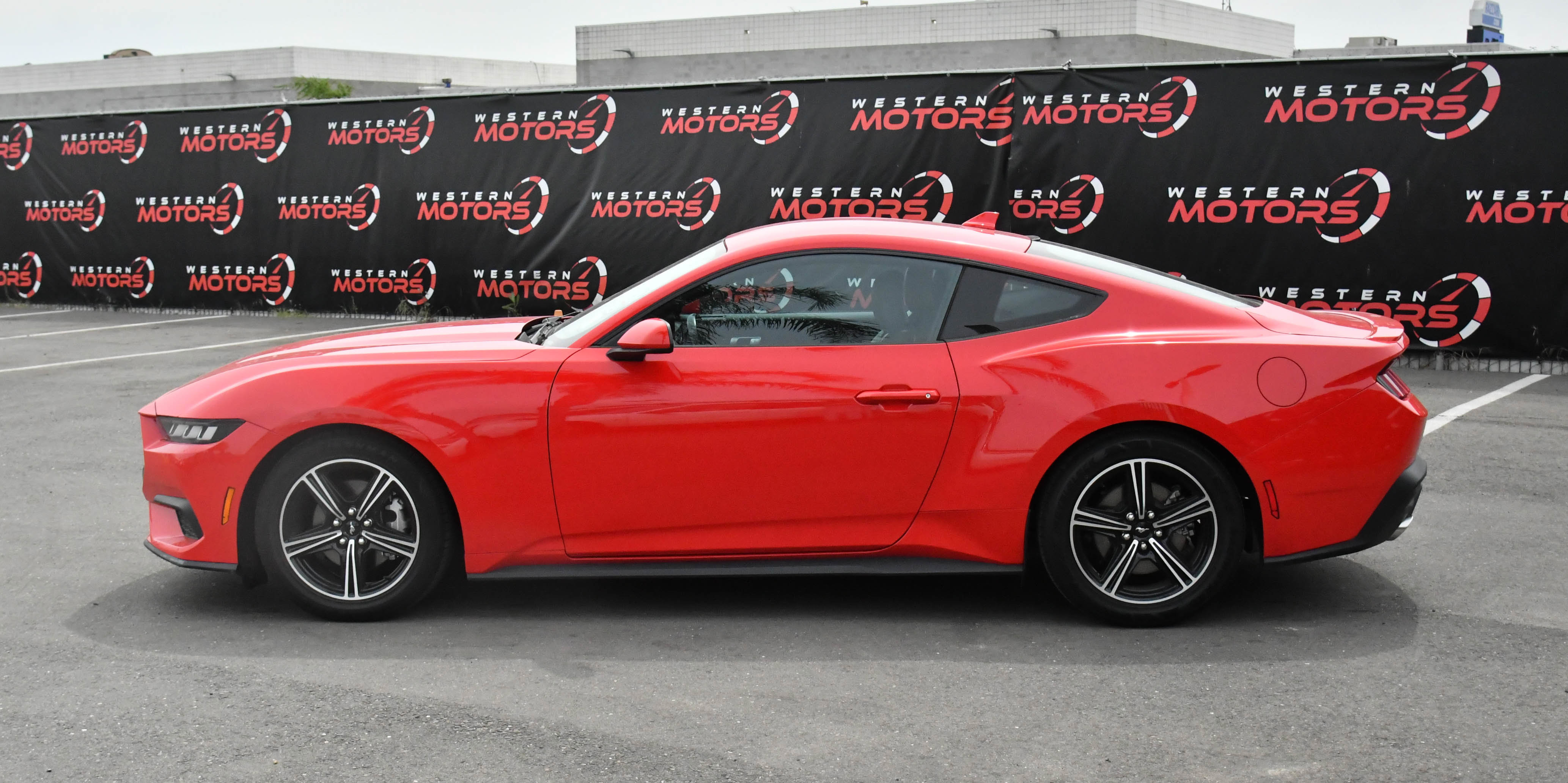Used 2024 Ford Mustang Premium RWD image 4