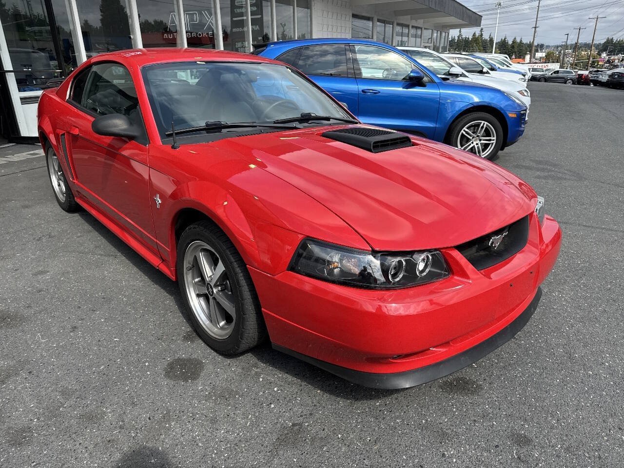 Used 2003 Ford Mustang Mach 1 RWD image 7