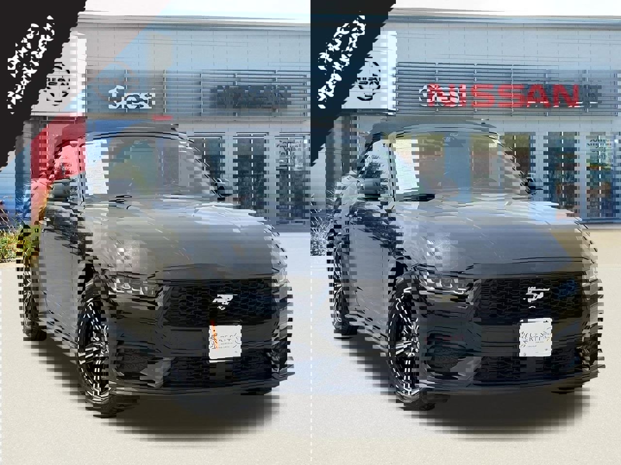 Used 2024 Ford Mustang Premium image 1