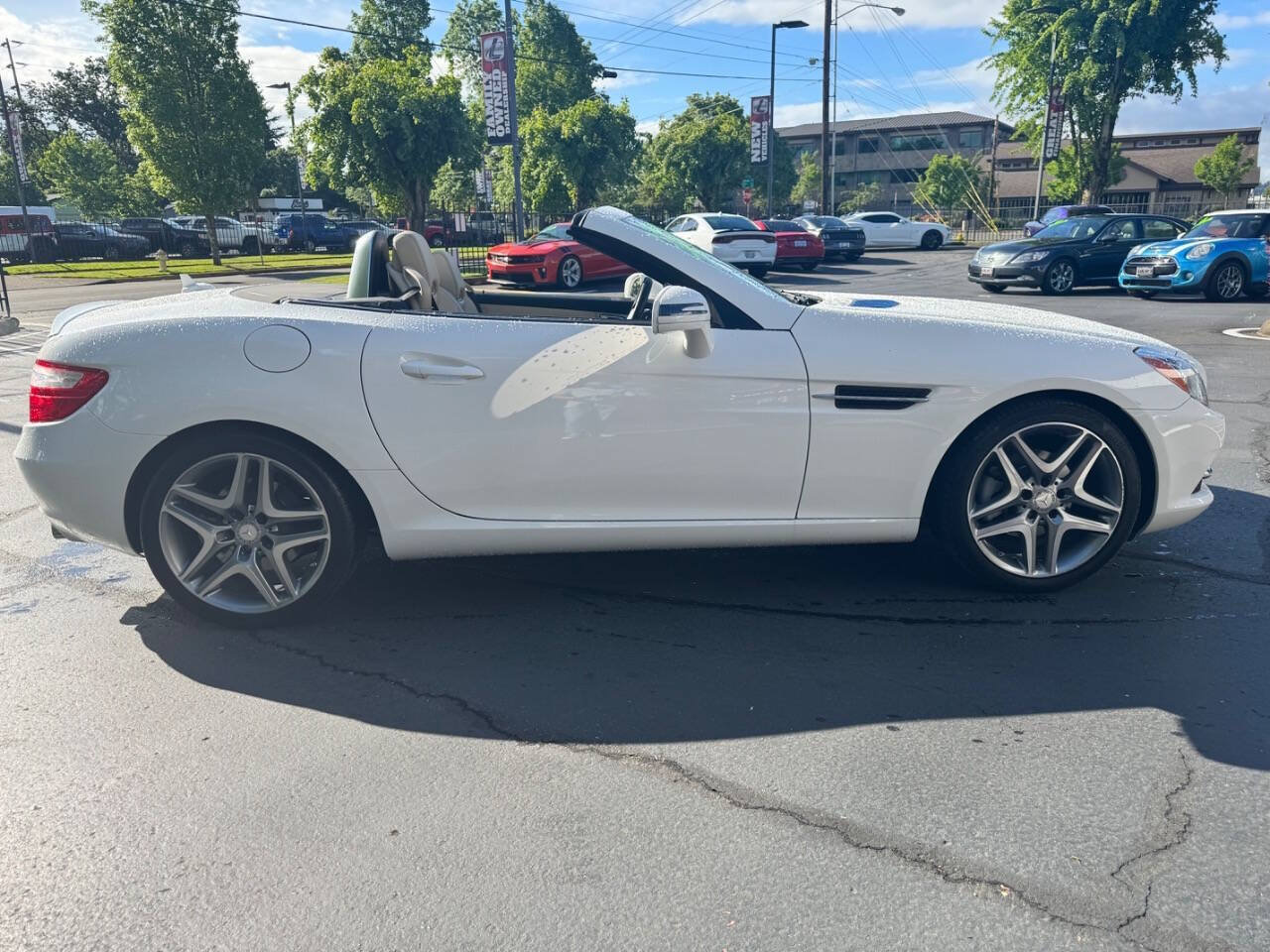 Used 2014 Mercedes-Benz SLK 250 image 6