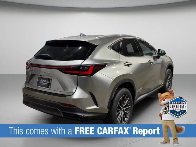 Used 2023 Lexus NX 350 AWD image 3