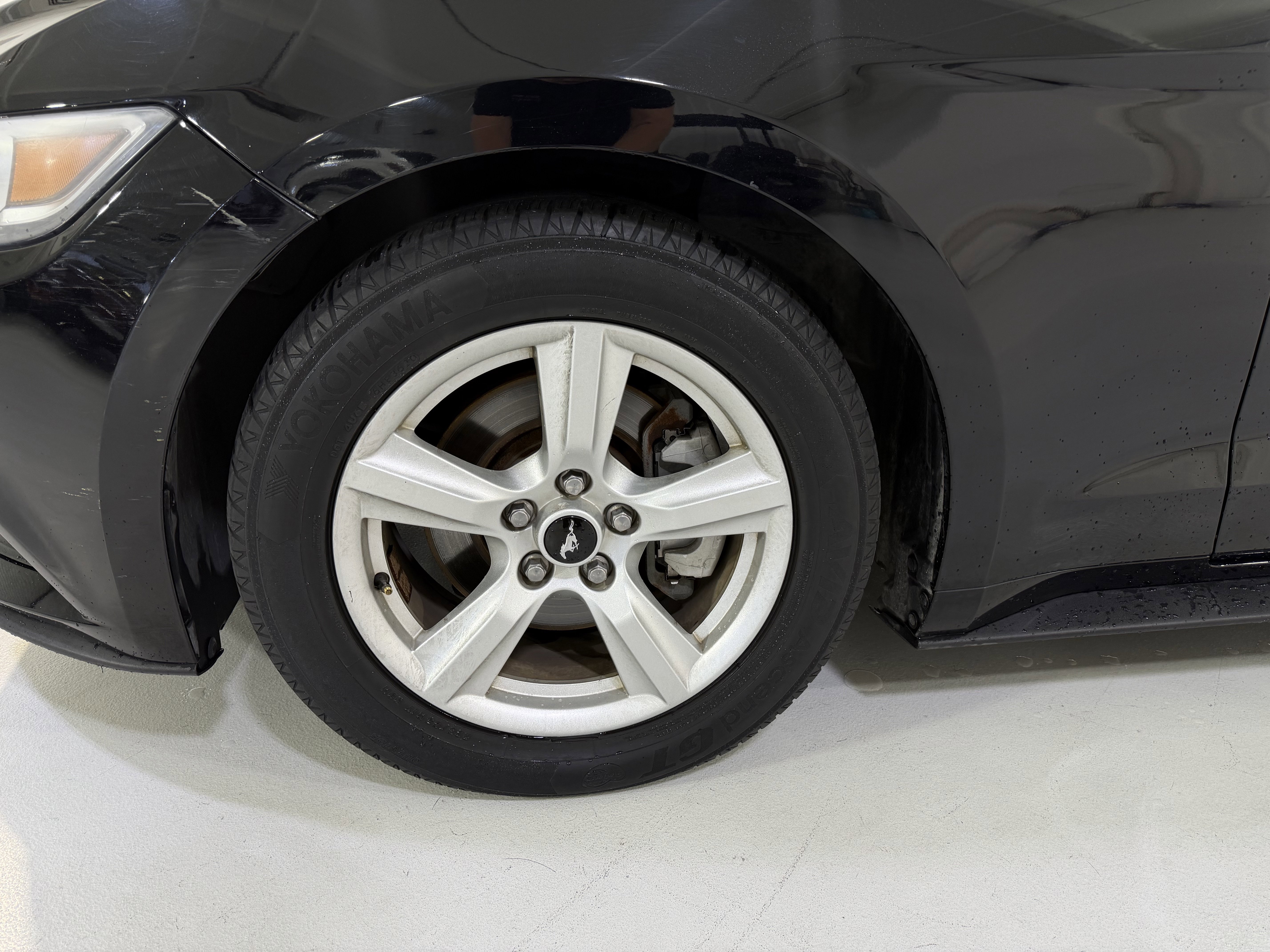 Used 2017 Ford Mustang Coupe RWD image 10