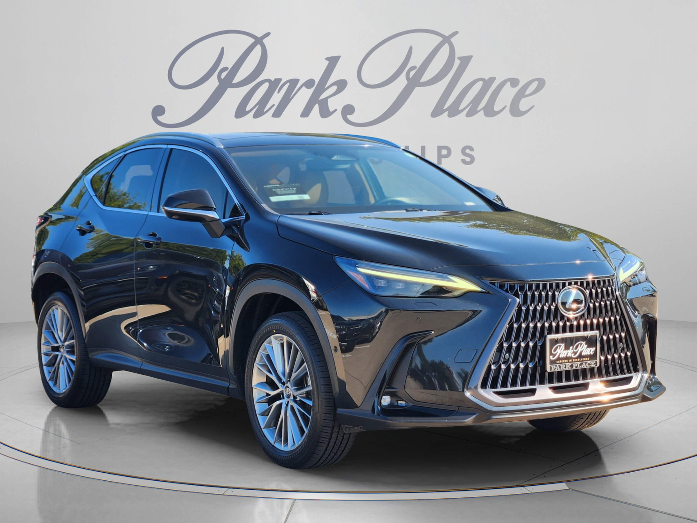 Certified 2022 Lexus NX 350h AWD w/ Vision Package image 4