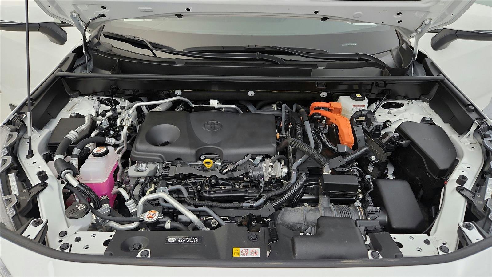 Certified 2024 Toyota RAV4 SE image 15