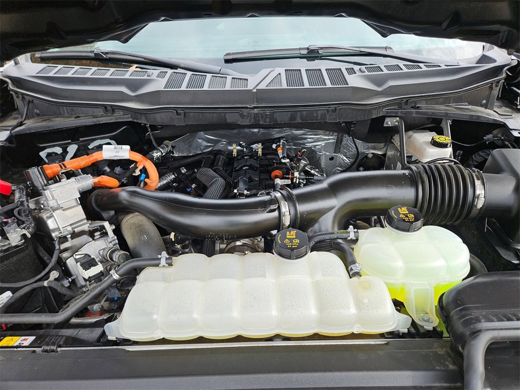 Used 2025 Ford F150 XLT w/ Equipment Group 301A Standard image 24