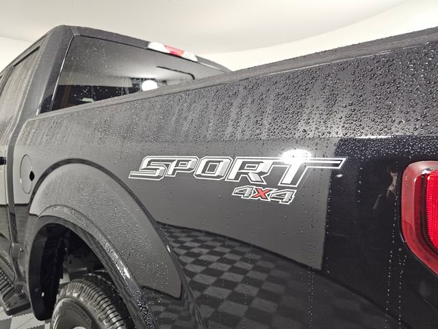 Used 2019 Ford F150 XLT w/ Equipment Group 302A Luxury image 19