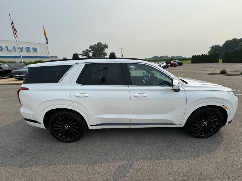 Used 2025 Hyundai Palisade Calligraphy AWD/4WD image 9