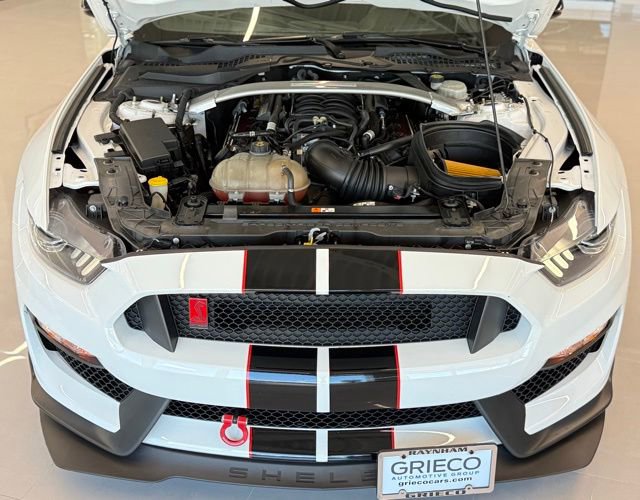 Used 2017 Ford Mustang Shelby GT350R w/ GT350R Equipment Group 920A RWD image 14