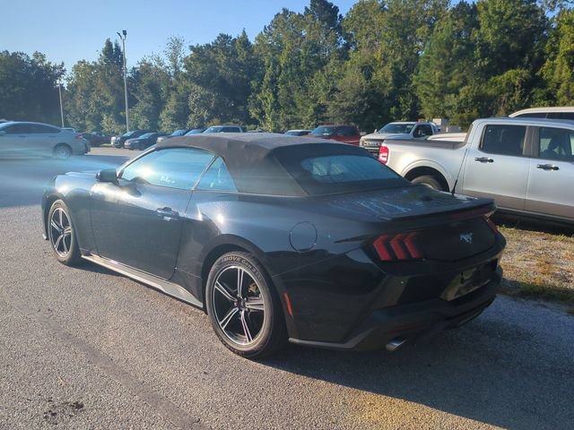 Used 2024 Ford Mustang Premium RWD image 2
