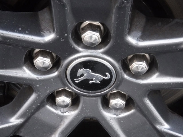 Used 2021 Ford Bronco Sport Big Bend w/ Big Bend Package (96B) image 4