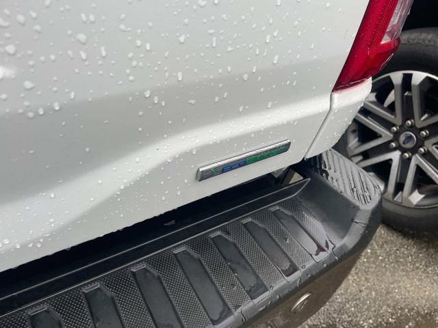 Used 2023 Ford F150 King Ranch w/ Equipment Group 601A High image 6