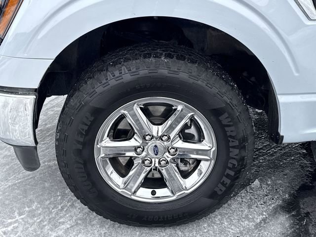 Used 2025 Ford F150 XLT w/ Equipment Group 301A Standard image 20