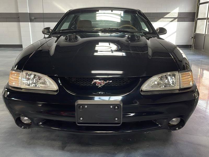 Used 1996 Ford Mustang Cobra RWD image 5