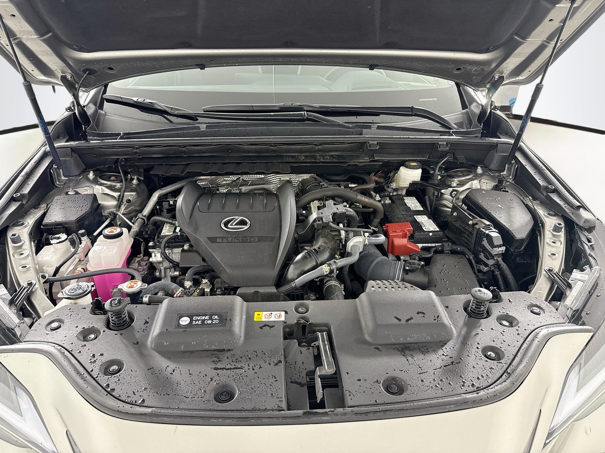 Certified 2025 Lexus NX 350 AWD w/ Cold Area Package image 29