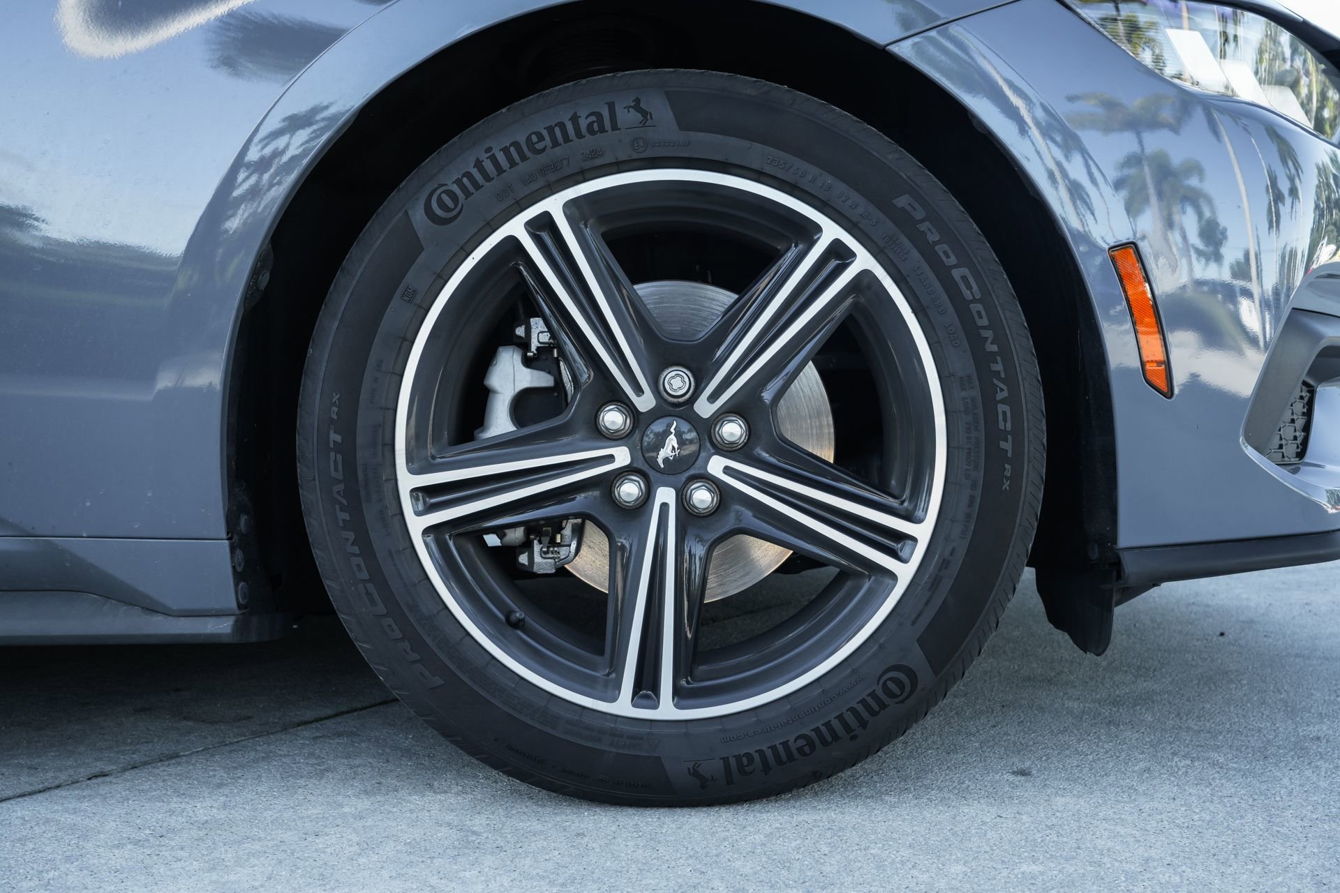 Used 2024 Ford Mustang EcoBoost image 10