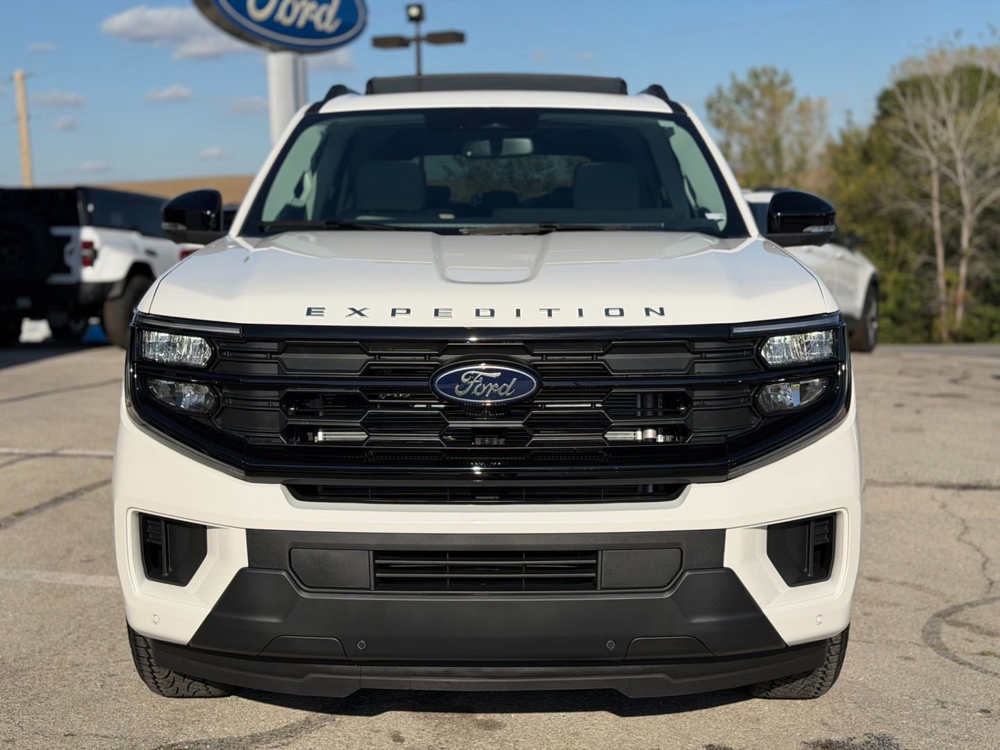New 2025 Ford Expedition Active image 2