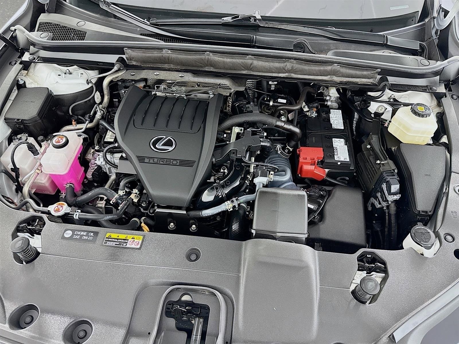 Used 2024 Lexus RX 350 Premium Plus image 30