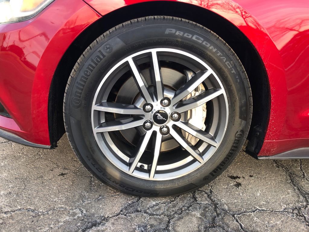 Used 2015 Ford Mustang GT Premium w/ Equipment Group 401A image 14