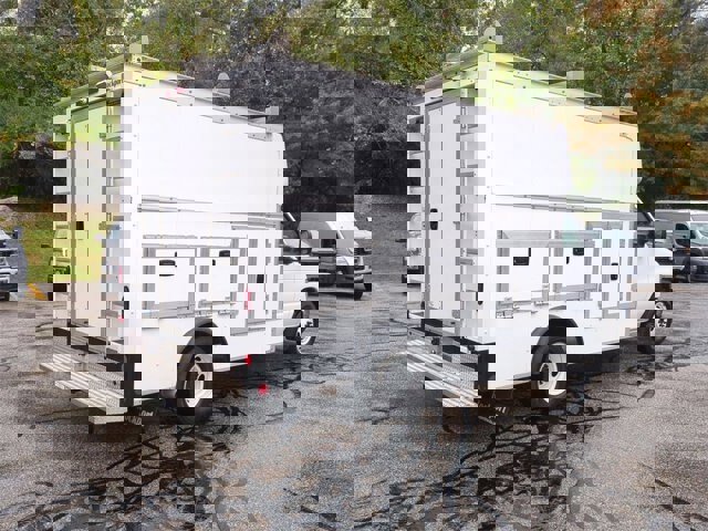 Certified 2024 Ford E-350 and Econoline 350 Super Duty w/ Power Windows & Locks Group image 3