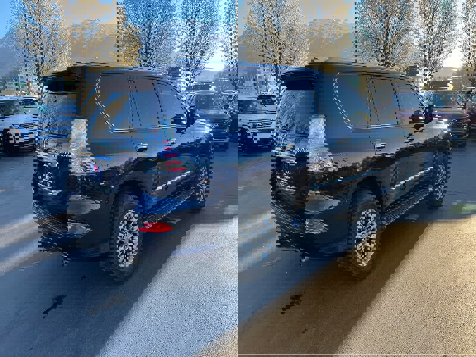 Used 2017 Lexus GX 460 Luxury image 7