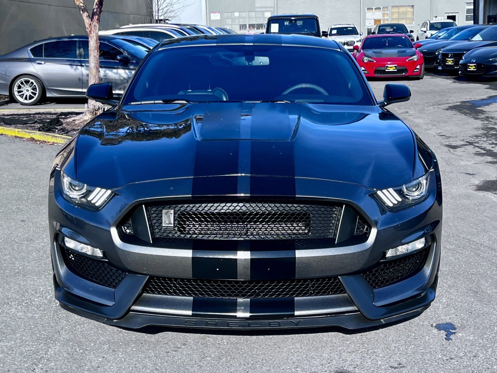 Used 2016 Ford Mustang Shelby GT350 w/ Technology Package image 2