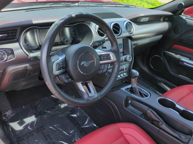 Used 2022 Ford Mustang GT Premium w/ Equipment Group 401A RWD image 14