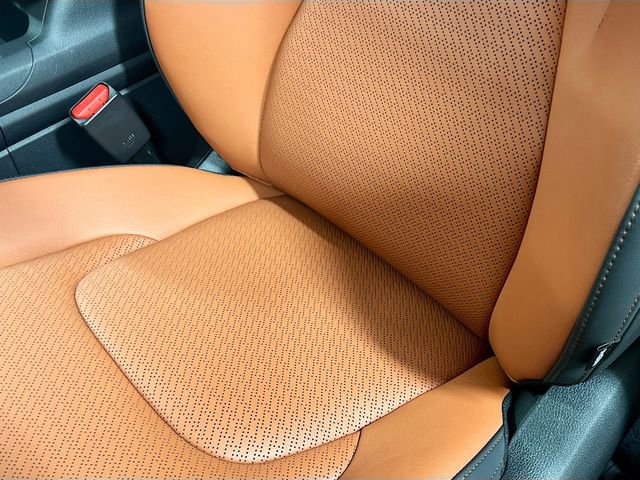 New 2026 Kia Carnival SX Prestige image 20