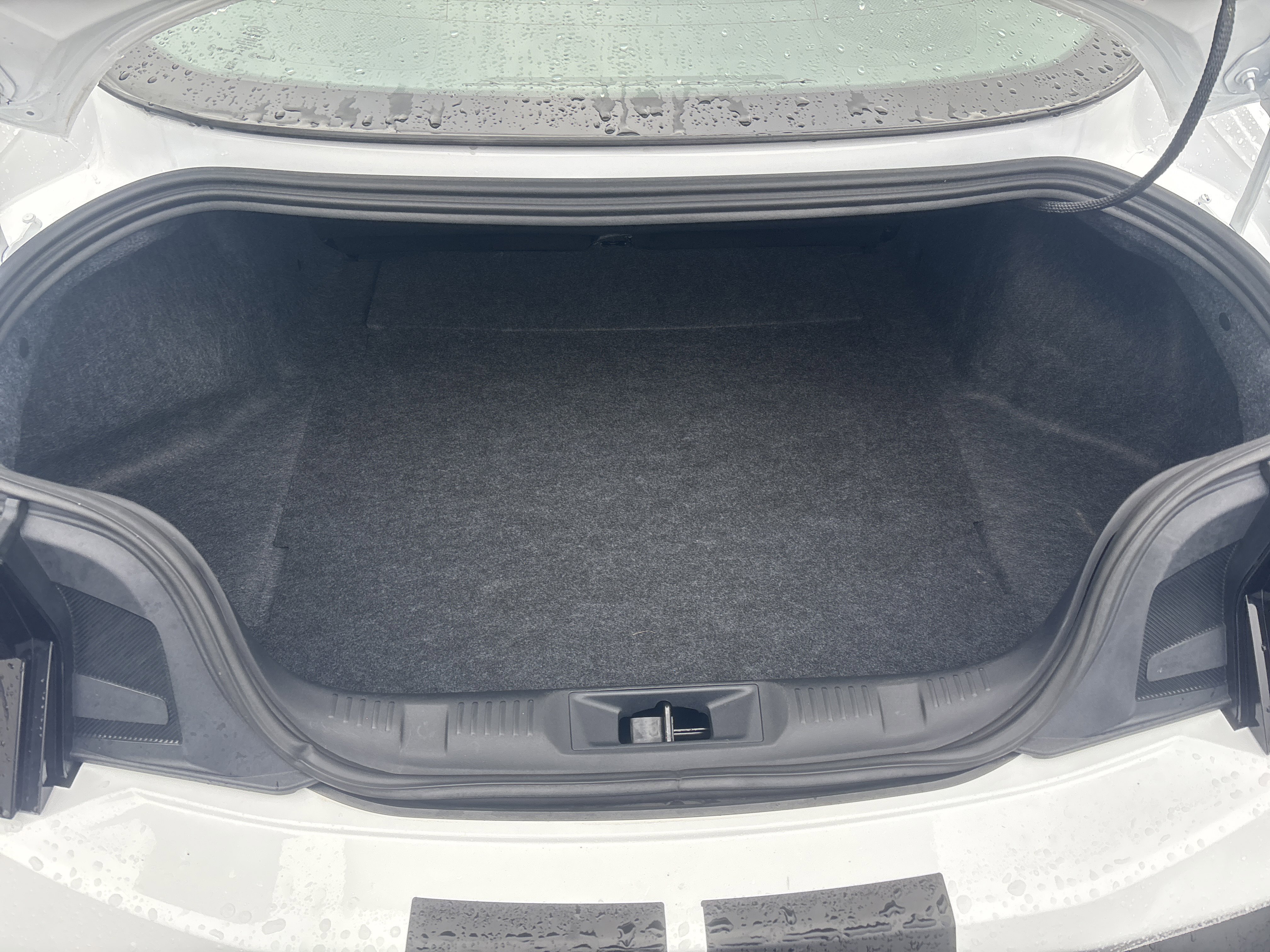 Used 2024 Ford Mustang Coupe w/ 2.3L High Performance Package image 5