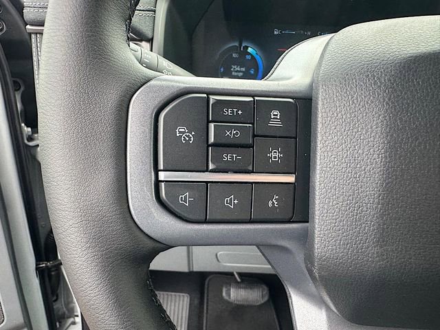 New 2025 Ford F150 Lightning Flash image 20