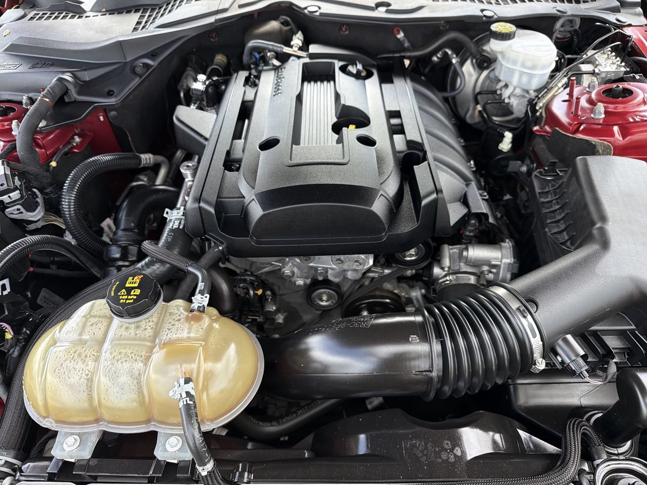Used 2018 Ford Mustang Coupe RWD image 9