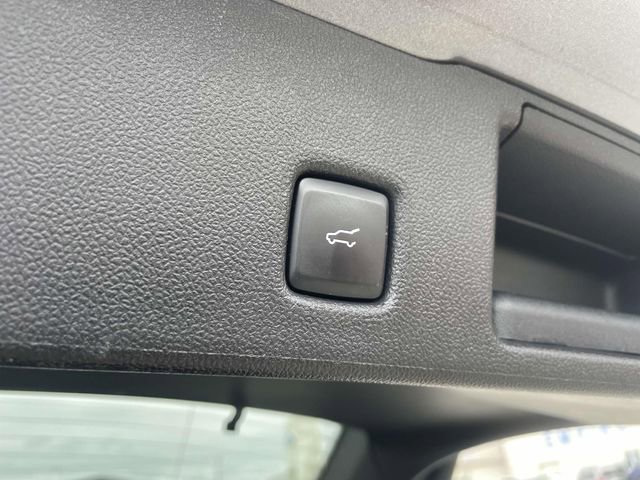 Used 2024 Ford Escape ST-Line image 7