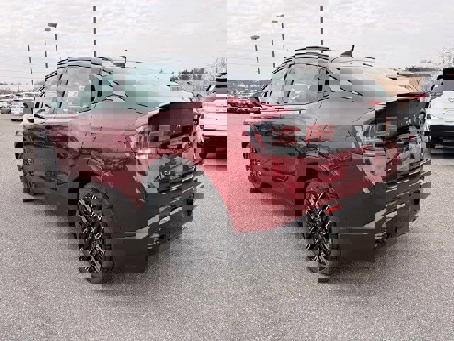 New 2026 Nissan Leaf Platinum+ w/ Cargo Package (Platinum+) image 7