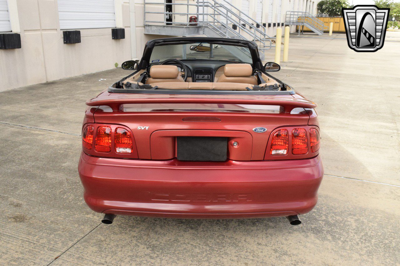 Used 1998 Ford Mustang Cobra image 2