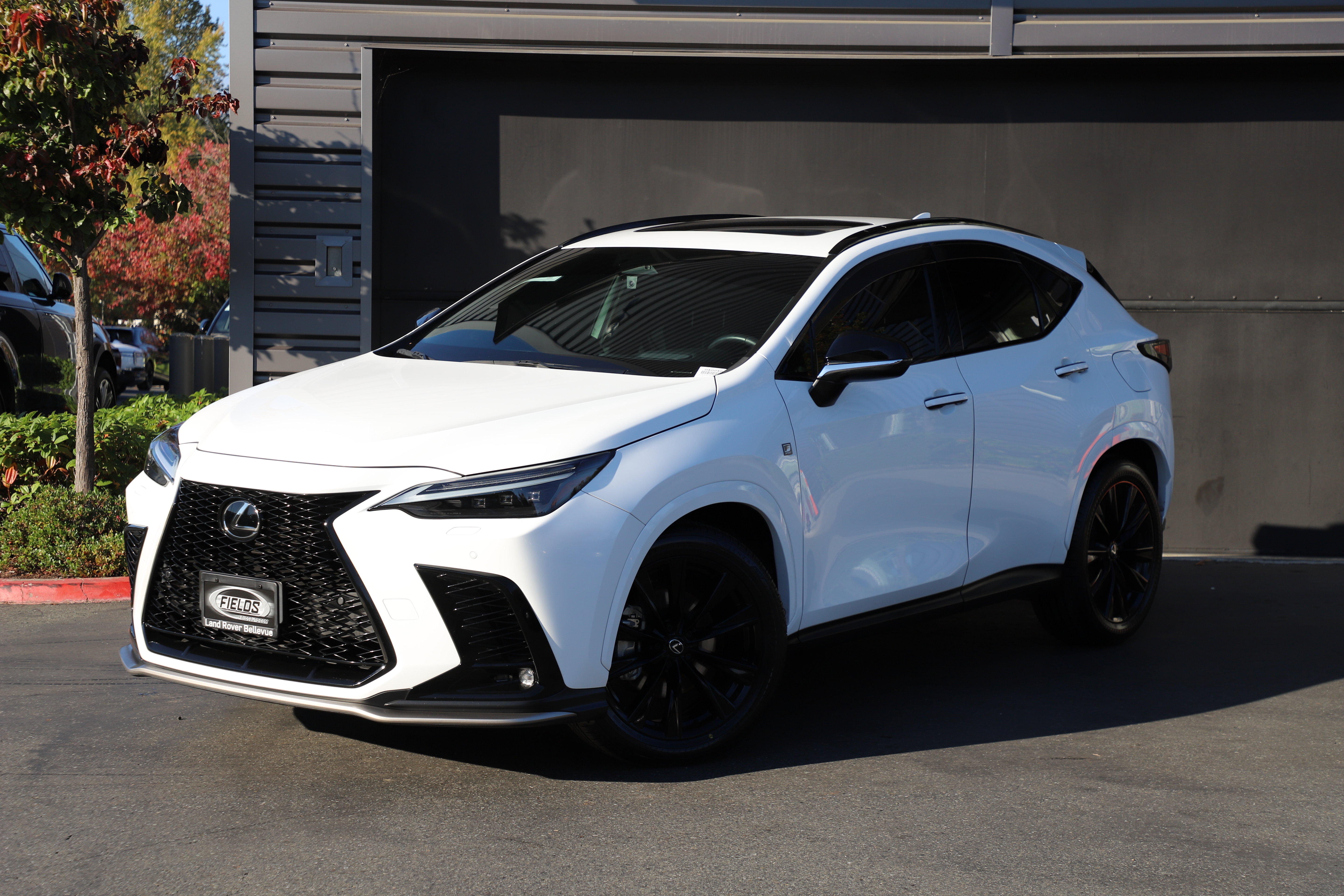 Used 2025 Lexus NX 350 F Sport w/ Accessory Package (2T) AWD/4WD image 1