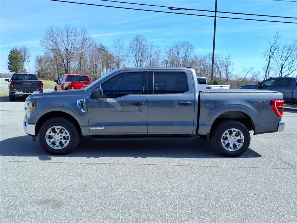 Used 2023 Ford F150 XLT w/ Equipment Group 301A Mid image 7