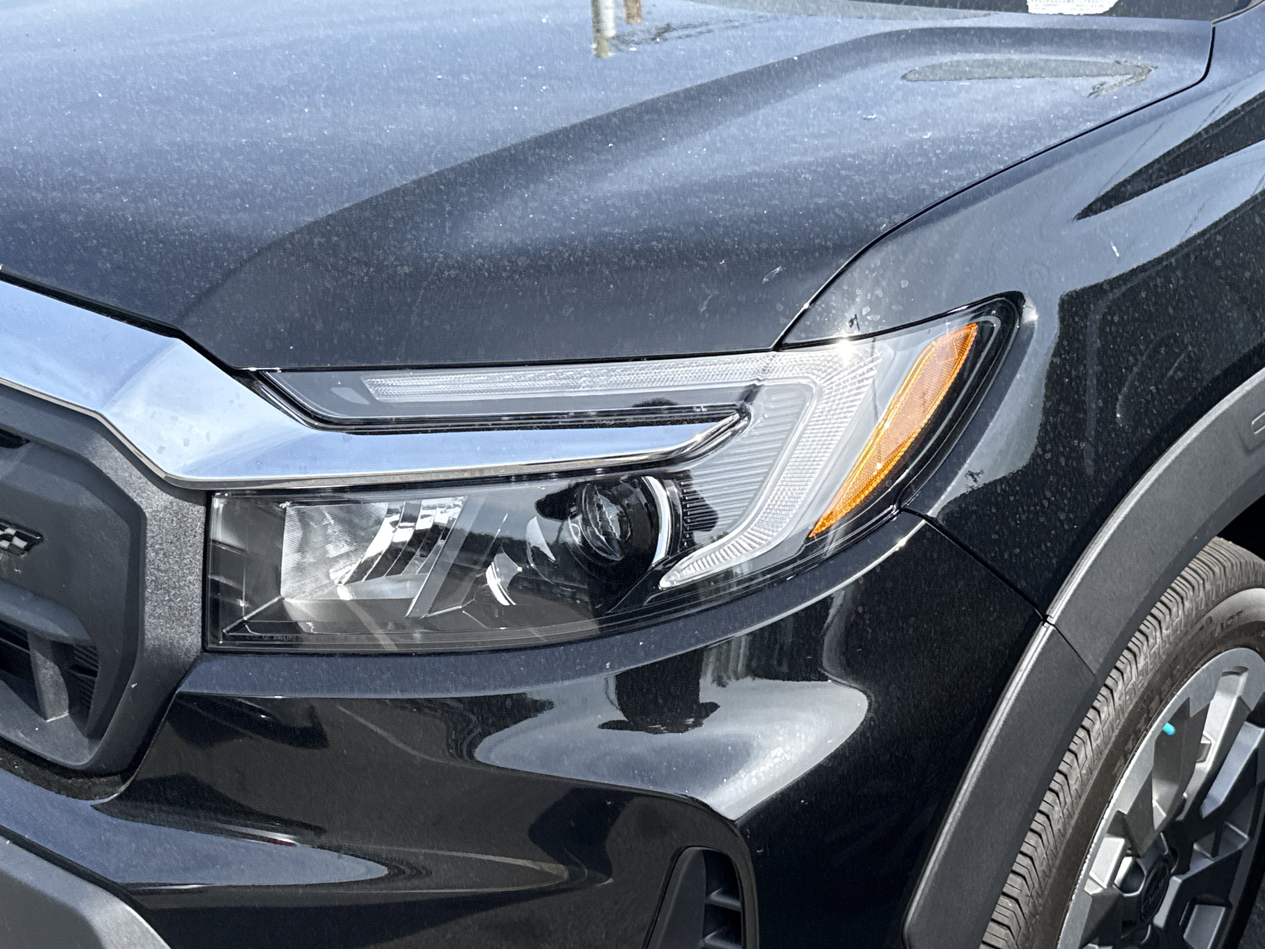 Certified 2025 Honda Passport EX-L image 6