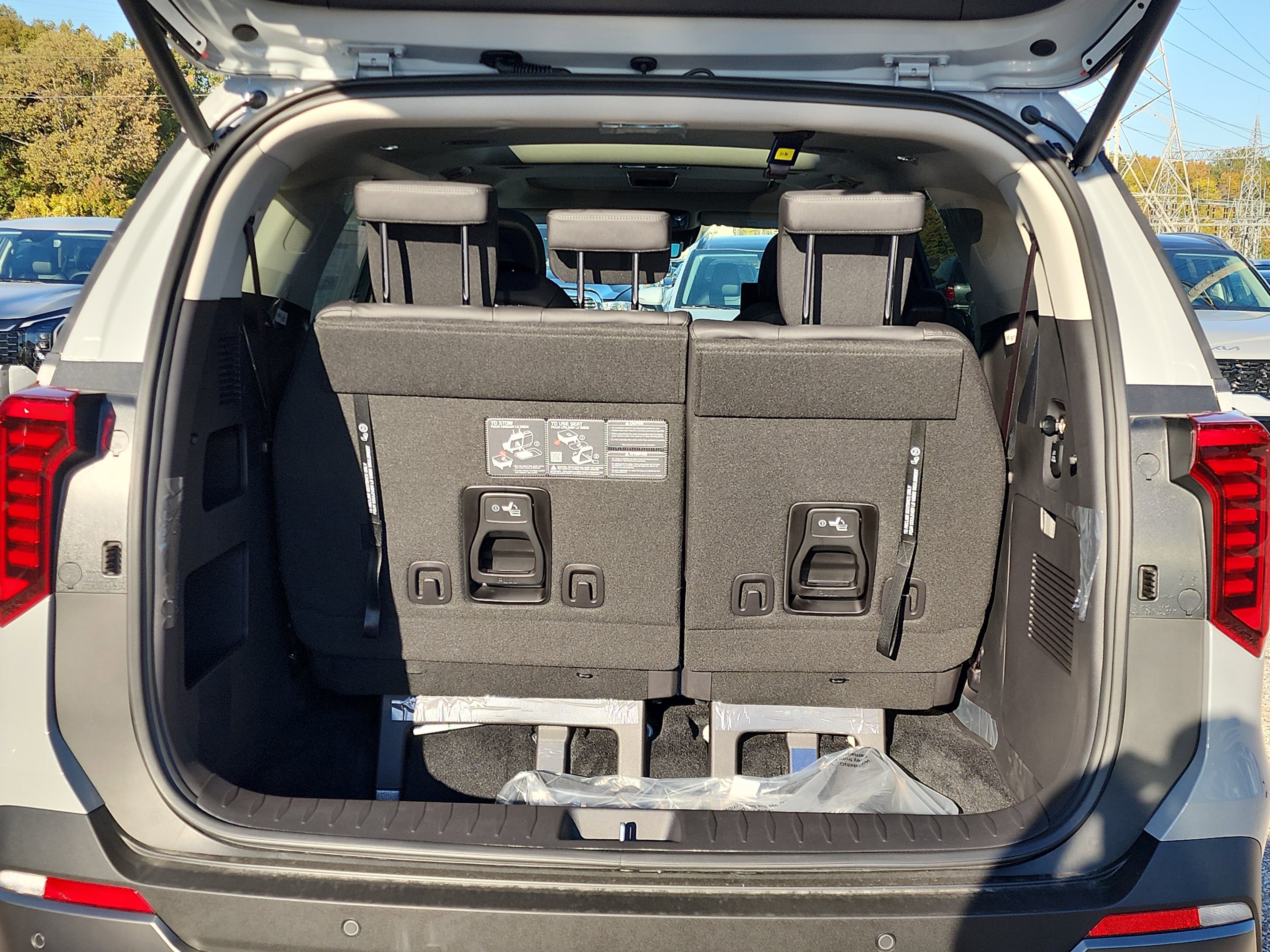 New 2026 Kia Carnival SX Prestige image 4