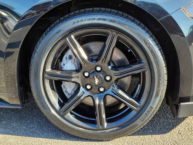 Used 2020 Ford Mustang GT w/ Equipment Group 301A RWD image 7