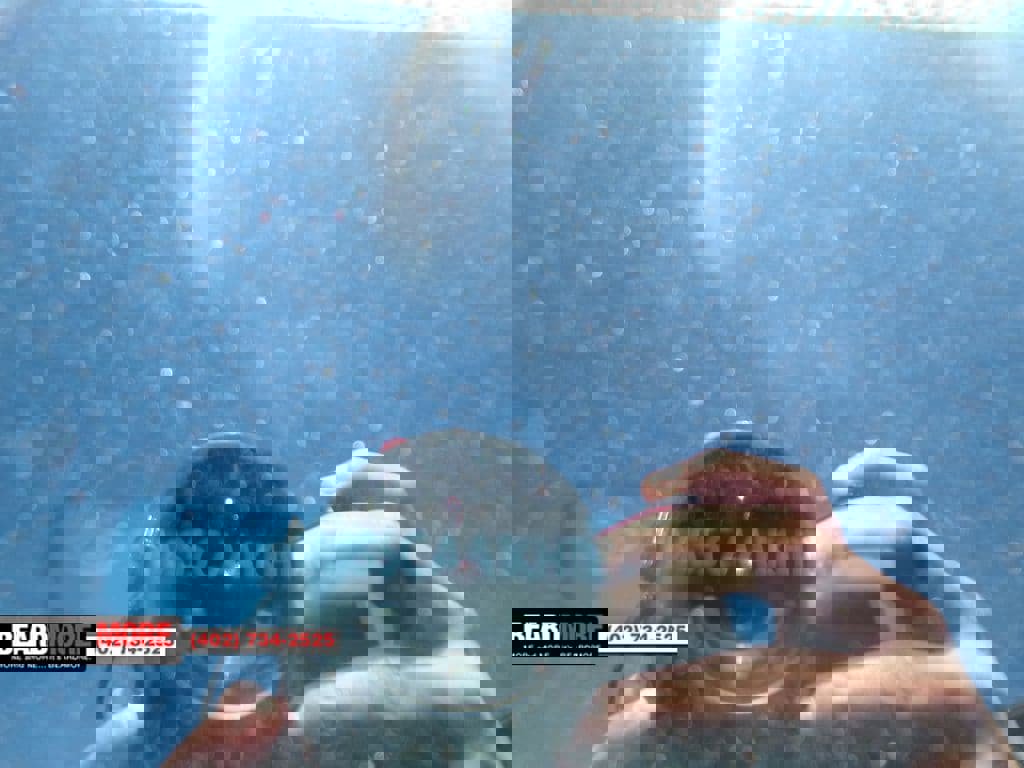 Used 2019 Hyundai Santa Fe AWD image 32