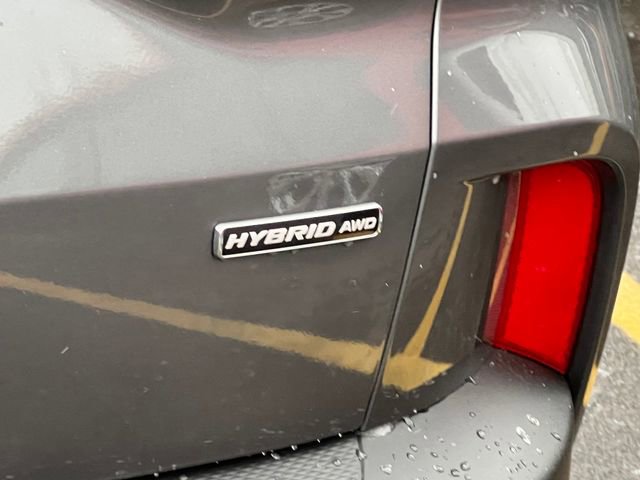 New 2026 Ford Escape ST-Line Select w/ Tech Pack #1 image 9