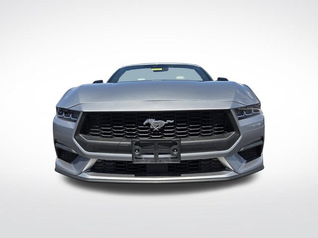 Used 2024 Ford Mustang Premium RWD image 4