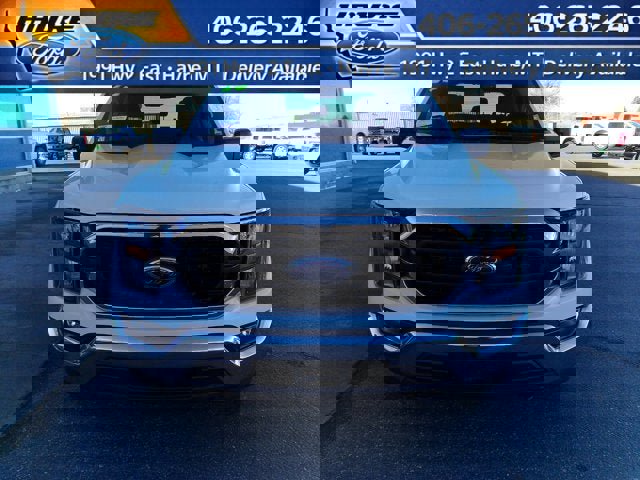 Used 2023 Ford F150 XLT w/ Equipment Group 301A Mid image 8