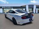 Used 2019 Ford Mustang Shelby GT350 w/ Technology Package RWD image 30