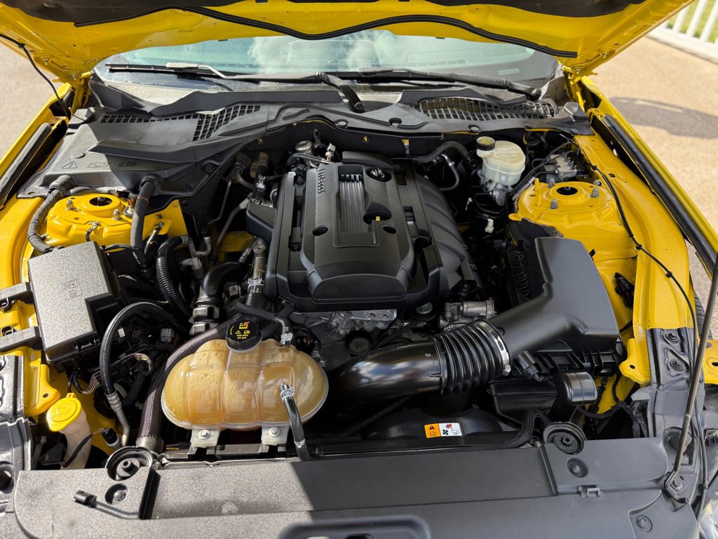 Used 2016 Ford Mustang Coupe image 16