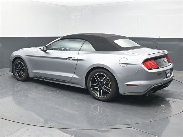 Used 2023 Ford Mustang Premium image 3